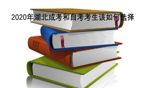 2020年湖北成考和自考考生该如何选择