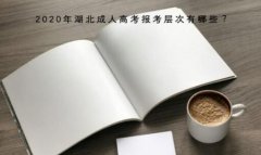 2020年湖北成人高考报考层次有哪些？