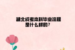 湖北成考本科毕业流程是什么样的？