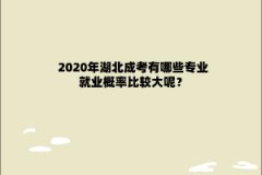 2020年湖北成考有哪些专业就业概率比较大呢？