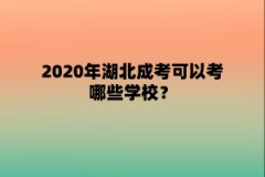 2020年湖北成考可以考哪些学校？