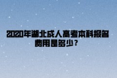 2020年湖北成人高考本科报名费用是多少？