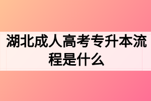 湖北成人高考专升本流程是什么