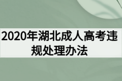 2020年湖北成人高考违规处理办法