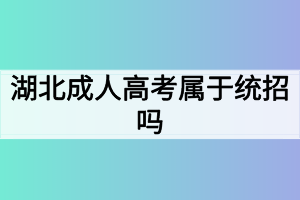 湖北成人高考属于统招吗？