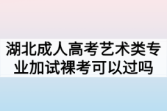 湖北成人高考艺术类专业加试裸考可以过吗