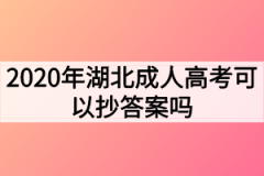 2020年湖北成人高考可以抄答案吗？