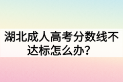 湖北成人高考分数线不达标怎么办？