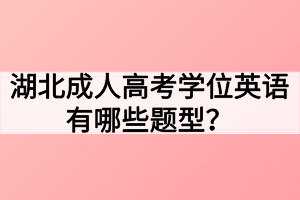 湖北成人高考学位英语有哪些题型？