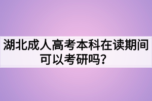 湖北成人高考本科在读期间可以考研吗？