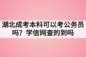 湖北成考本科可以考公务员吗？学信网查的到吗