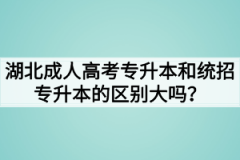 湖北成人高考专升本和统招专升本的区别大吗？