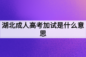 湖北成人高考加试什么意思？