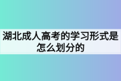 湖北成人高考的学习形式是怎么划分的