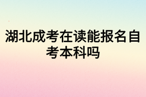 湖北成考在读能报名自考本科吗？