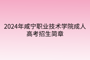 2024年咸宁职业技术学院成人高考招生简章