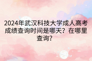 2024年武汉科技大学成人高考成绩查询时间是哪天？在哪里查询？