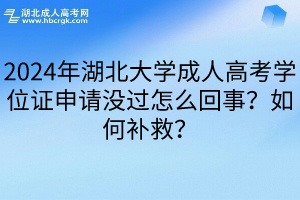 2024年湖北大学成人高考学位证申请没过怎么回事？如何补救？