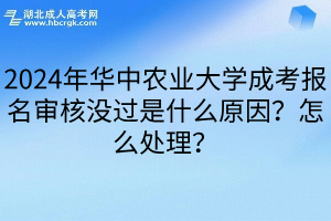 2024年华中农业大学成考报名审核没过是什么原因？怎么处理？