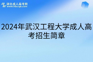 2024年武汉工程大学成人高考招生简章
