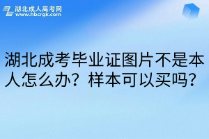 湖北成考毕业证图片不是本人怎么办？样本可以买吗？