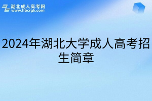 2024年湖北大学成人高考招生简章