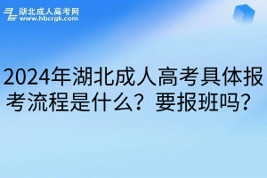 2024年湖北成人高考具体报考流程是什么？要报班吗？