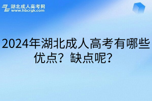 2024年湖北成人高考有哪些优点？缺点呢？