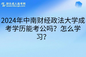 2024年中南财经政法大学成考学历能考公吗？怎么学习？