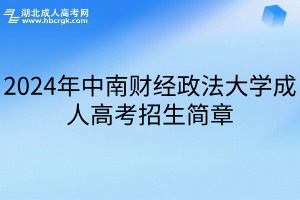 2024年中南财经政法大学成人高考招生简章