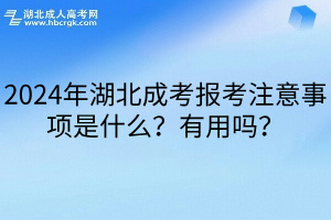 2024年湖北成考报考注意事项是什么？有用吗？