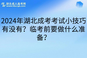 2024年湖北成考考试小技巧有没有？临考前要做什么准备？