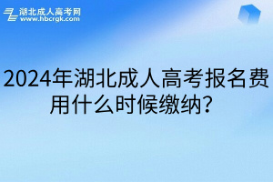 2024年湖北成人高考报名费用什么时候缴纳？