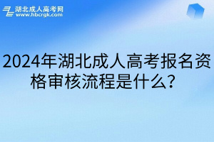 2024年湖北成人高考报名资格审核流程是什么？