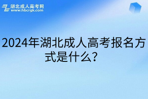 2024年湖北成人高考报名方式是什么？