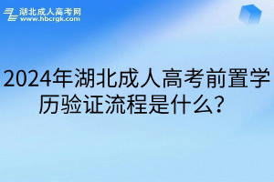 2024年湖北成人高考前置学历验证流程是什么？