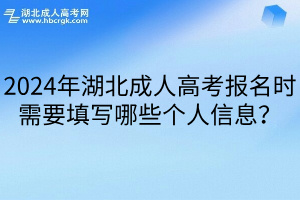 2024年湖北成人高考报名时需要填写哪些个人信息？