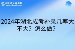 2024年湖北成考补录几率大不大？怎么做？