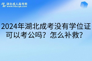 2024年湖北成考没有学位证可以考公吗？怎么补救？