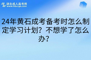 24年黄石成考备考时怎么制定学习计划？不想学了怎么办？