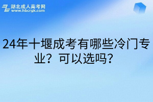 24年十堰成考有哪些冷门专业？可以选吗？