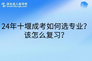 24年十堰成考如何选专业？该怎么复习？