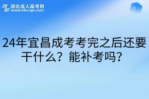 24年宜昌成考考完之后还要干什么？能补考吗？