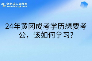 24年黄冈成考学历想要考公，该如何学习?