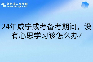 24年咸宁成考备考期间，没有心思学习该怎么办?