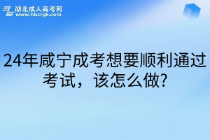 24年咸宁成考想要顺利通过考试，该怎么做?