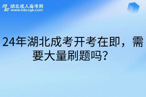 24年湖北成考开考在即，需要大量刷题吗？