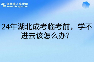 24年湖北成考临考前，学不进去该怎么办？