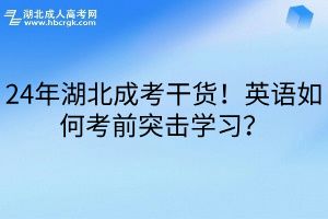 24年湖北成考干货！英语如何考前突击学习？