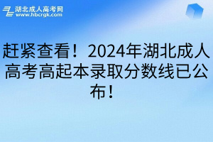 赶紧查看！2024年湖北成人高考高起本录取分数线已公布！